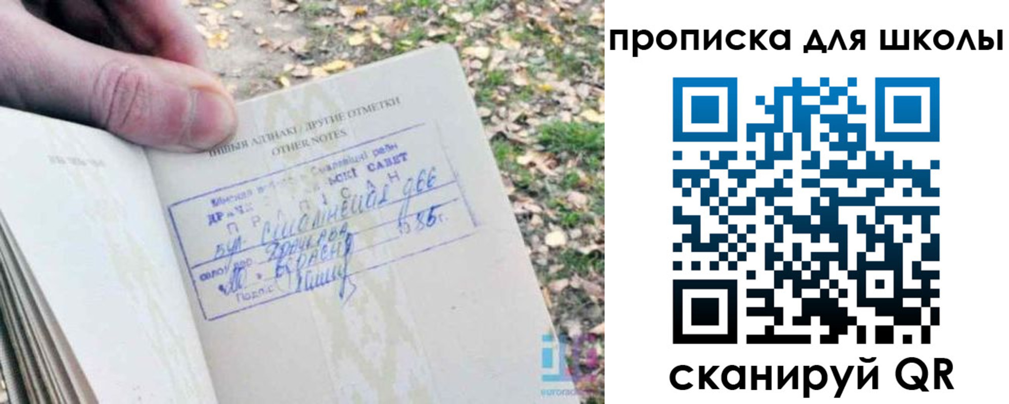 временная регистрация надежно в Зиме